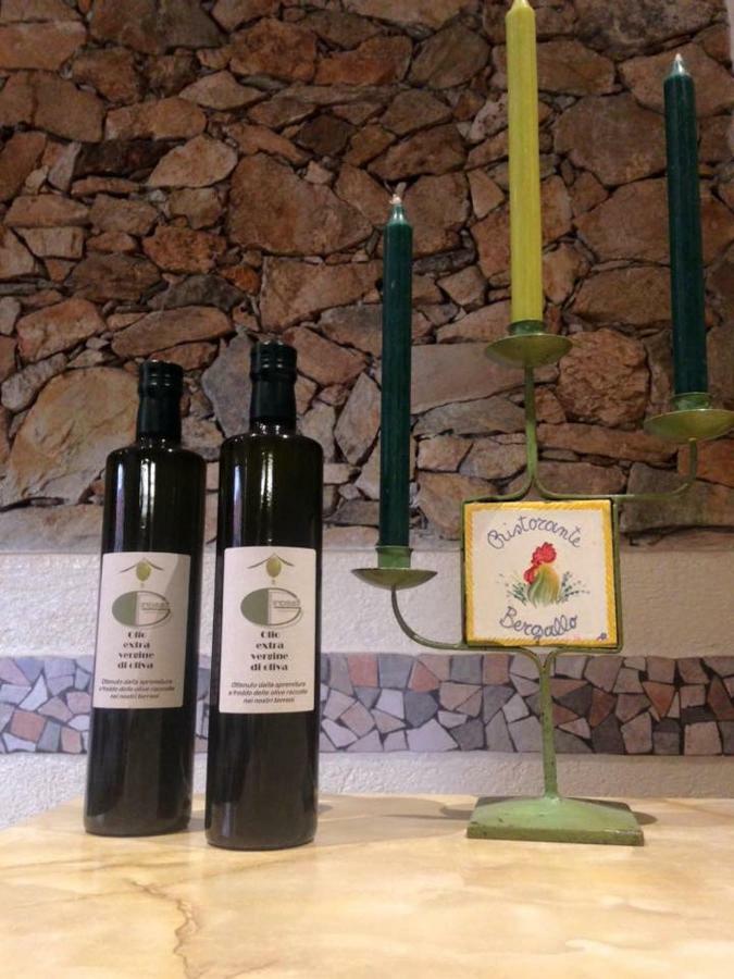 Albergo Ristorante Bergallo Tovo San Giacomo Екстериор снимка